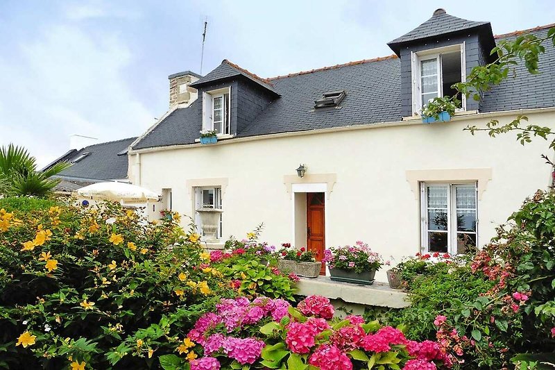 Außenseite Ferienhaus (Sommer)