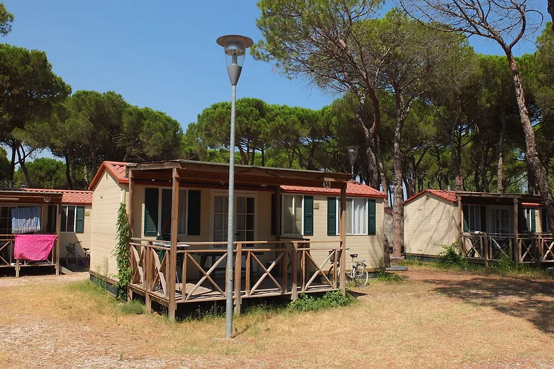 Exterieur vakantiehuis (zomer)