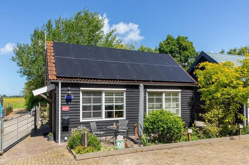 Esterno casa vacanze (estate)