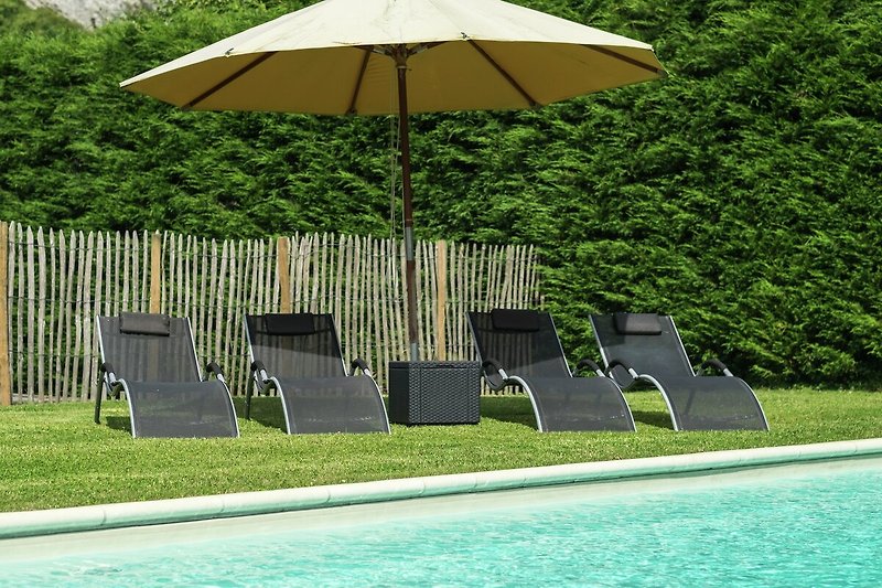 Tuin (zomer)