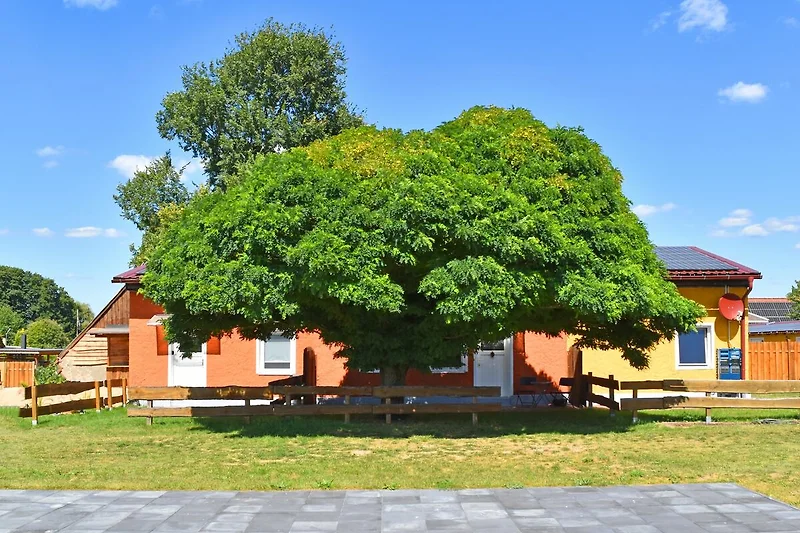 Esterno casa vacanze (estate)