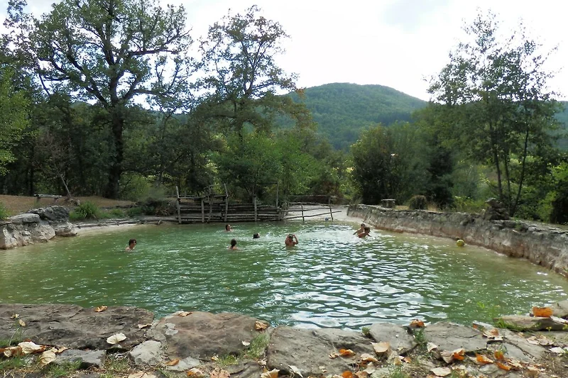Schwimmbad des Ferienhauses