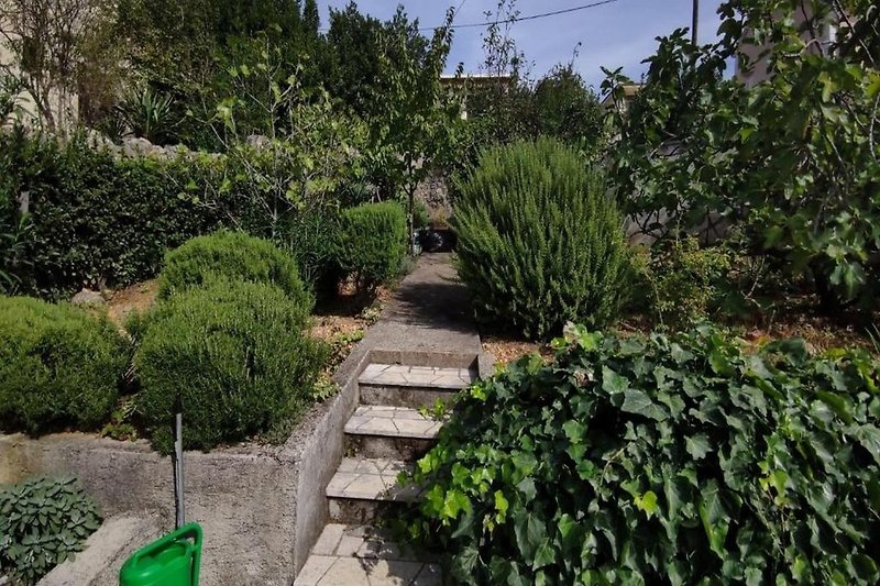 Giardino (estate)