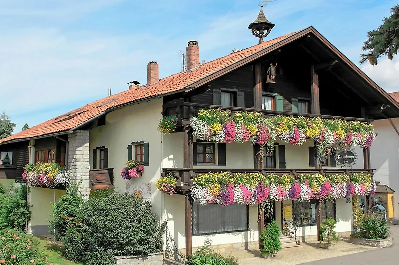 Esterno casa vacanze (estate)