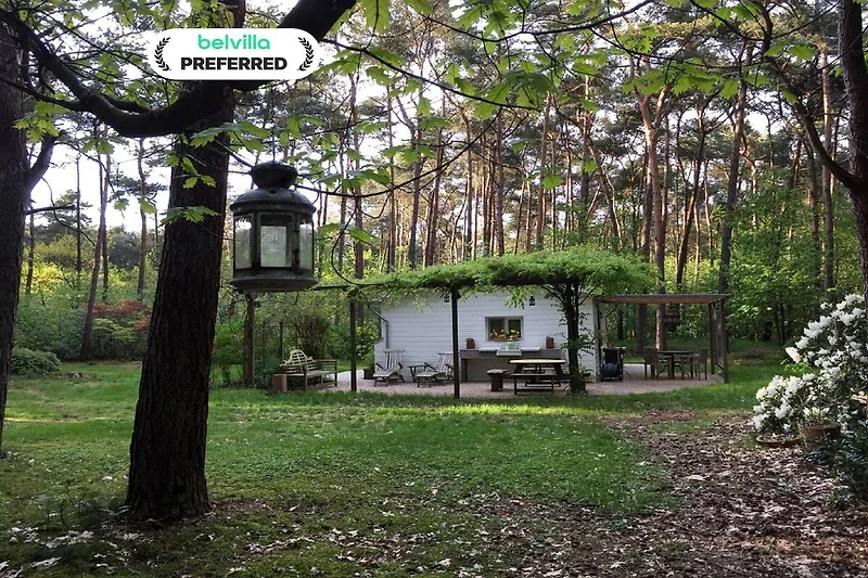 Esterno casa vacanze (estate)