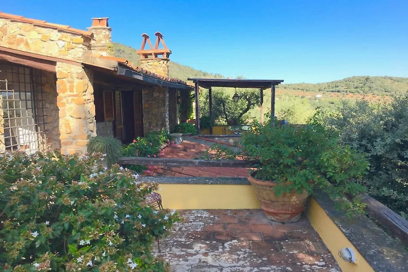 Außenseite Ferienhaus (Sommer)