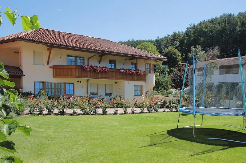 Esterno casa vacanze (estate)
