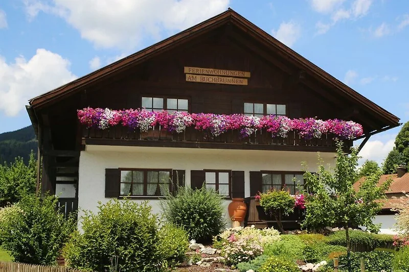 Exterieur vakantiehuis (zomer)