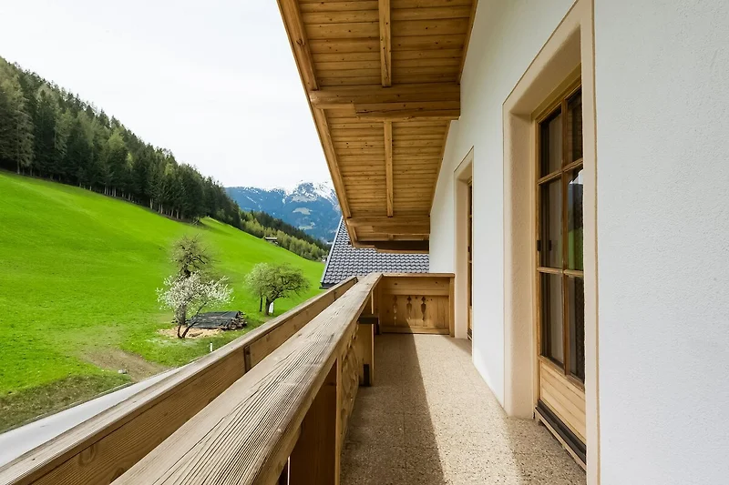 Aussicht vom Ferienhaus (Sommer)