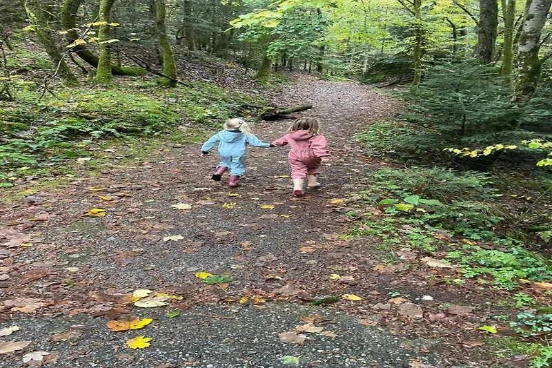 In der Region (Sommer) (>5 km)