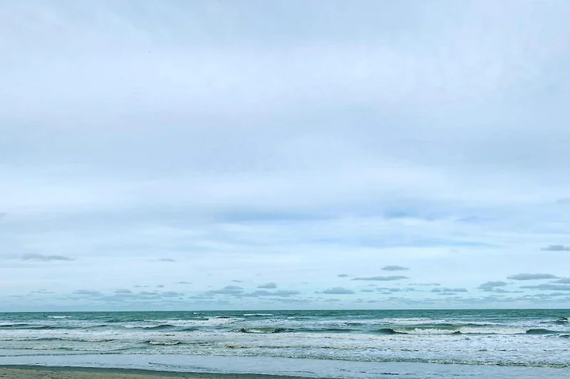 In de regio (zomer) (>5 km)