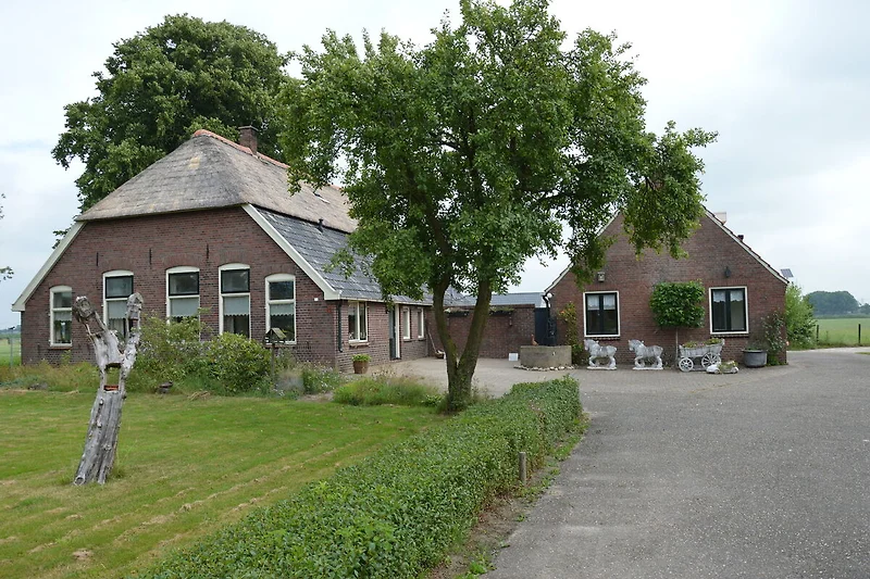 Außenseite Ferienhaus (Sommer)
