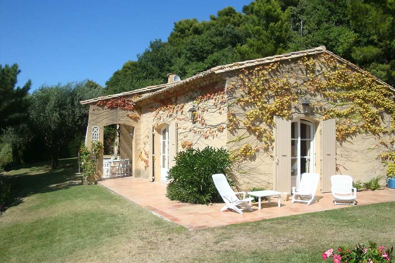 Terrasse / Balkon