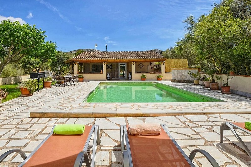 Exterieur vakantiehuis (zomer)