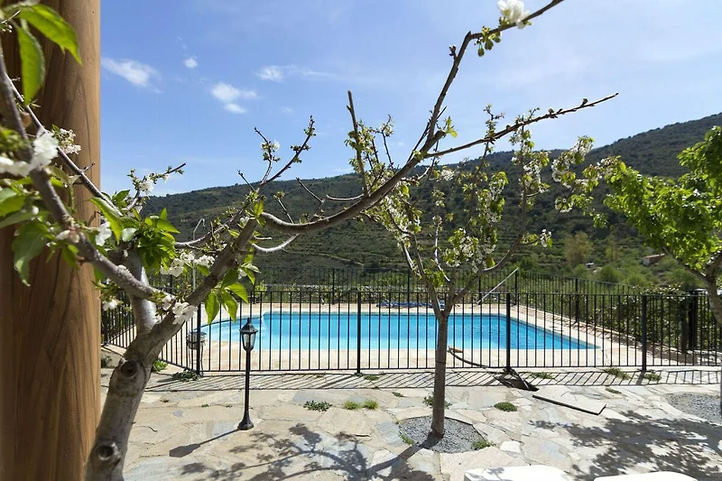 Piscina casa vacanze