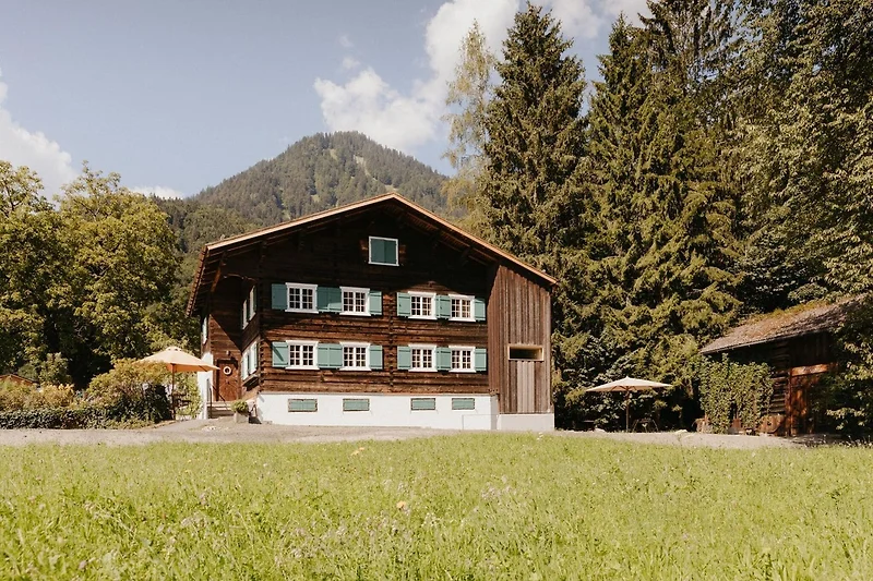 Aussicht vom Ferienhaus (Sommer)