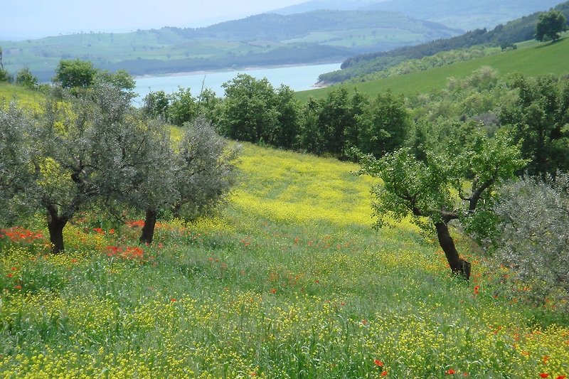 In der Region (Sommer) (>5 km)