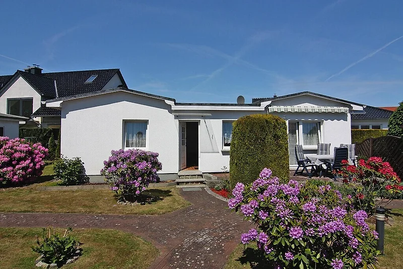 Außenseite Ferienhaus (Sommer)