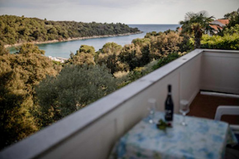 Terrasse / Balkon