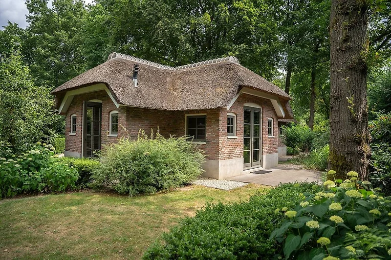 Esterno casa vacanze (estate)