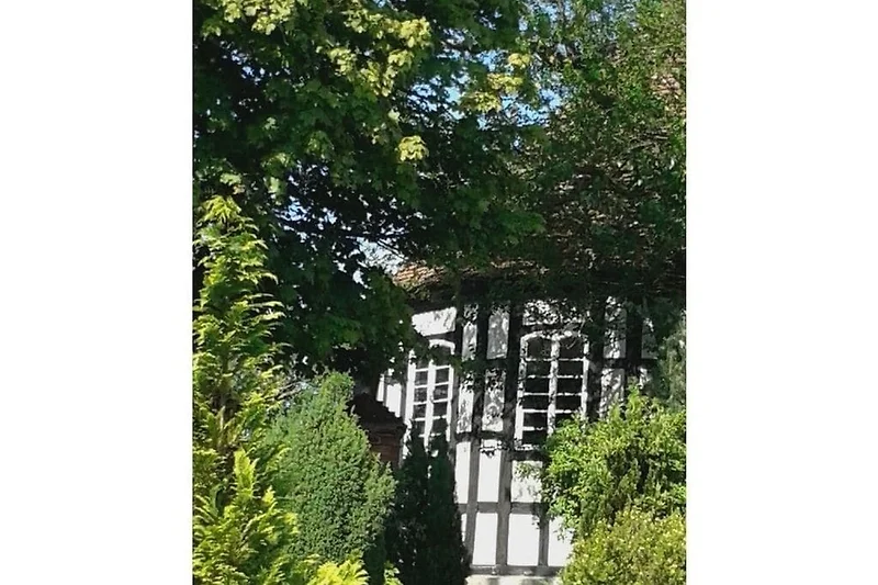 Exterieur vakantiehuis (zomer)