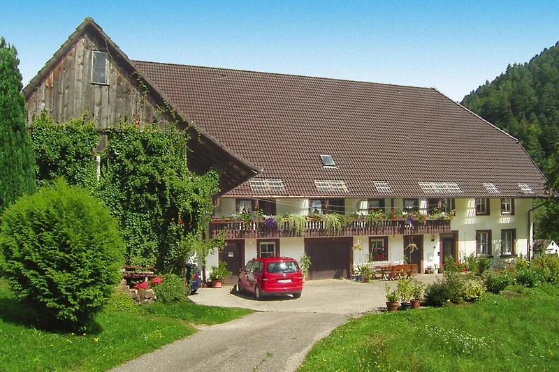 Außenseite Ferienhaus (Sommer)
