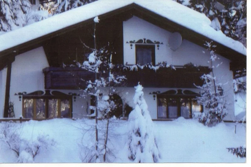 Widok na dom (zima)