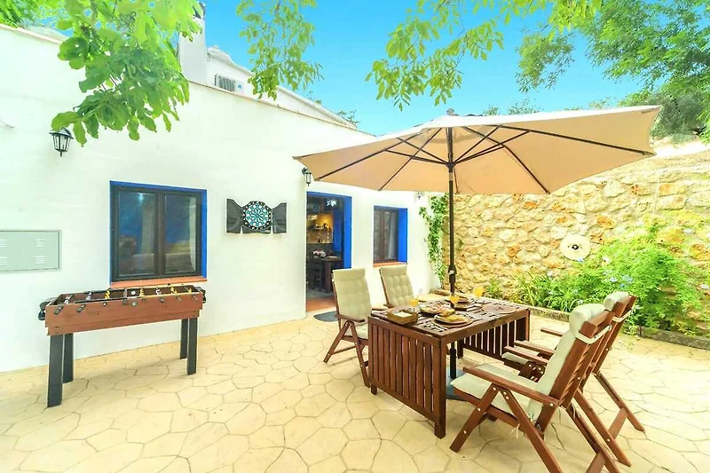 Exterieur vakantiehuis (zomer)