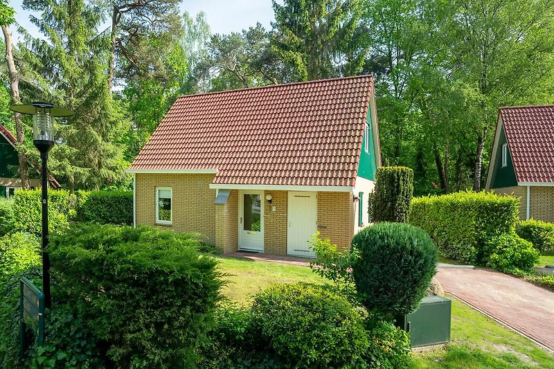 Exterieur vakantiehuis (zomer)