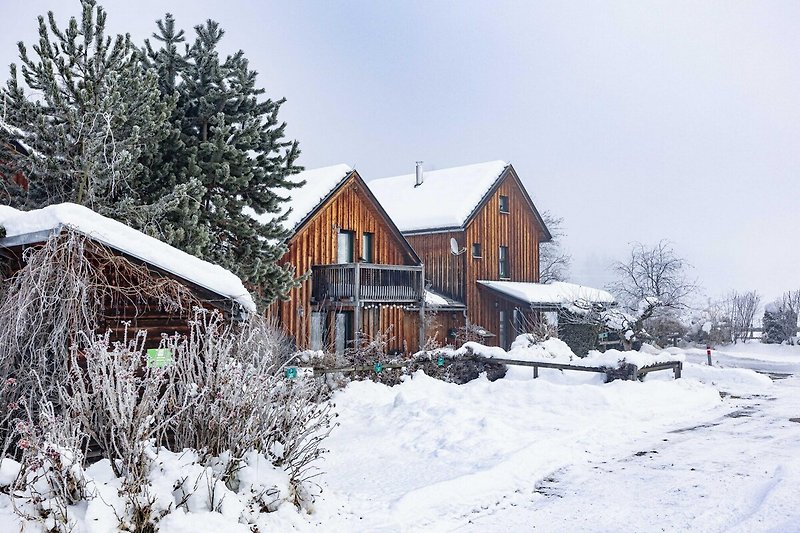 Esterno casa vacanze (inverno)