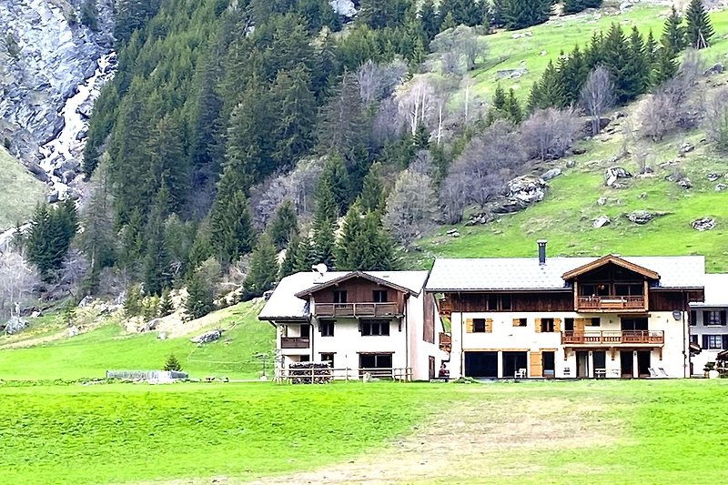 Außenseite Ferienhaus (Sommer)