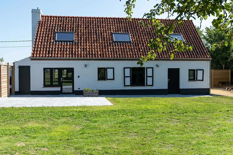 Exterieur vakantiehuis (zomer)