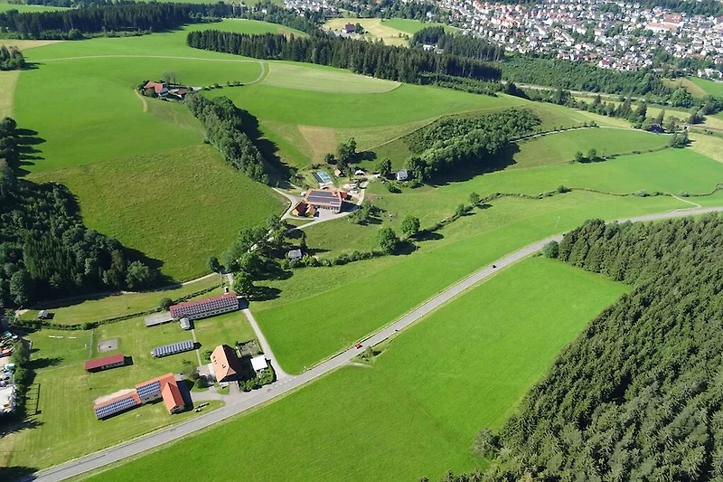 Exterieur vakantiehuis (zomer)