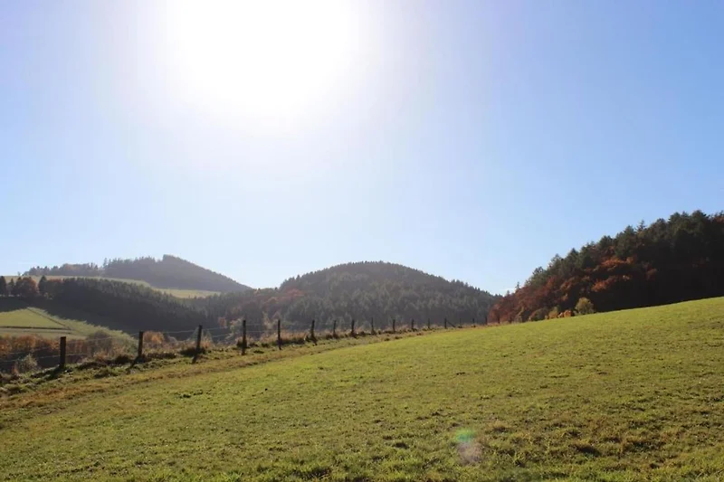 Dintorni (estate) (1-5 km)