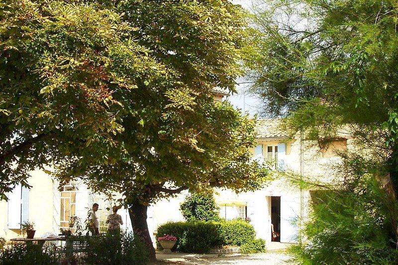 Außenseite Ferienhaus (Sommer)