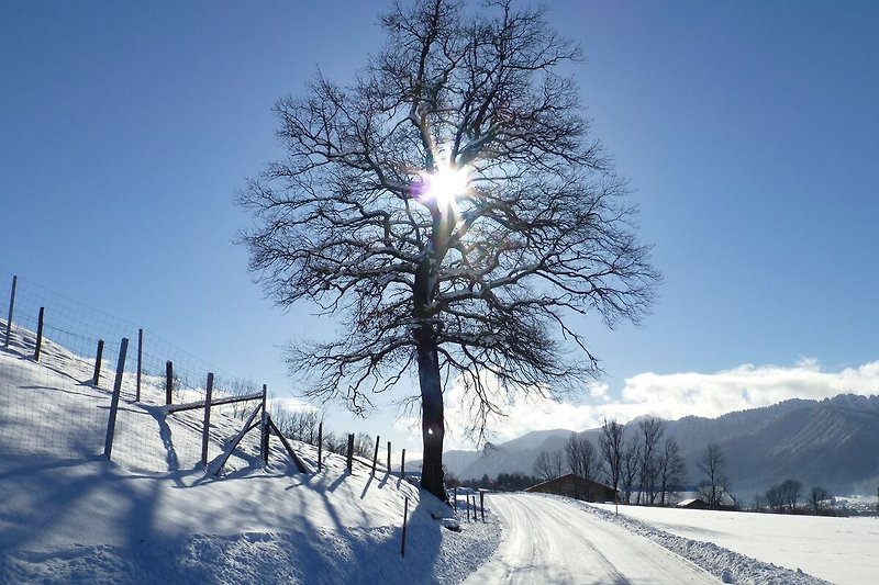 Directe omgeving (winter) (<1 km)