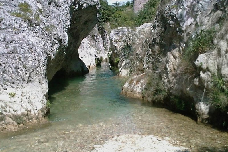 Nella regione (estate) (>5 km)