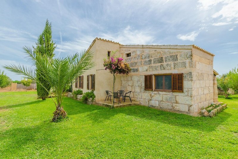 Esterno casa vacanze (estate)