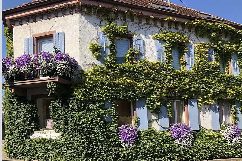 Exterieur vakantiehuis (zomer)