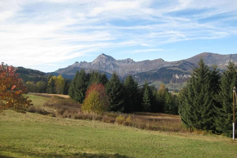 In de regio (zomer) (>5 km)