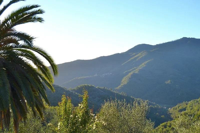 Vue de la maison de vacances (été)