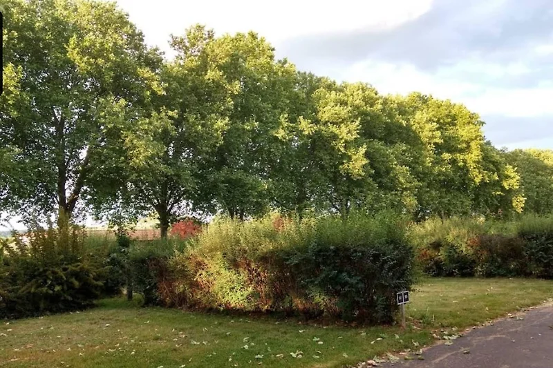 In de regio (zomer) (>5 km)