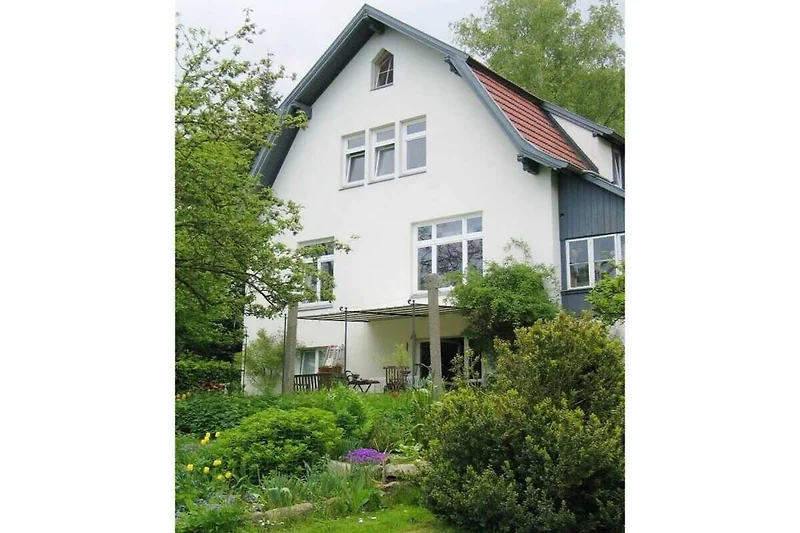 Außenseite Ferienhaus (Sommer)