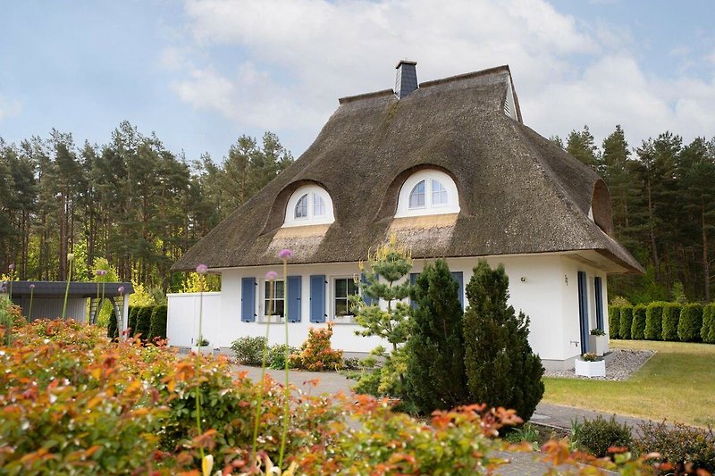 Exterieur vakantiehuis (zomer)