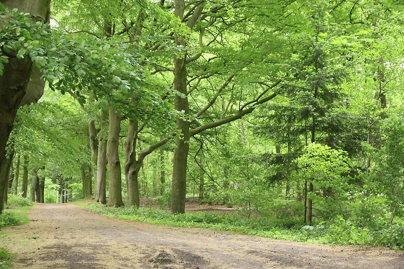 In prossimitá (estate) (<1 km)