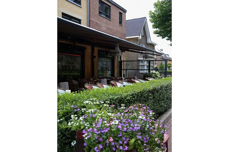 Exterieur vakantiehuis (zomer)