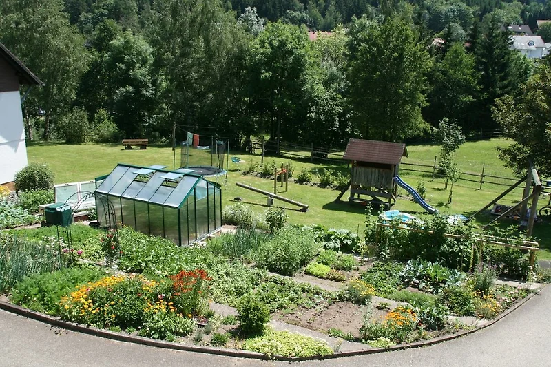 Tuin (zomer)