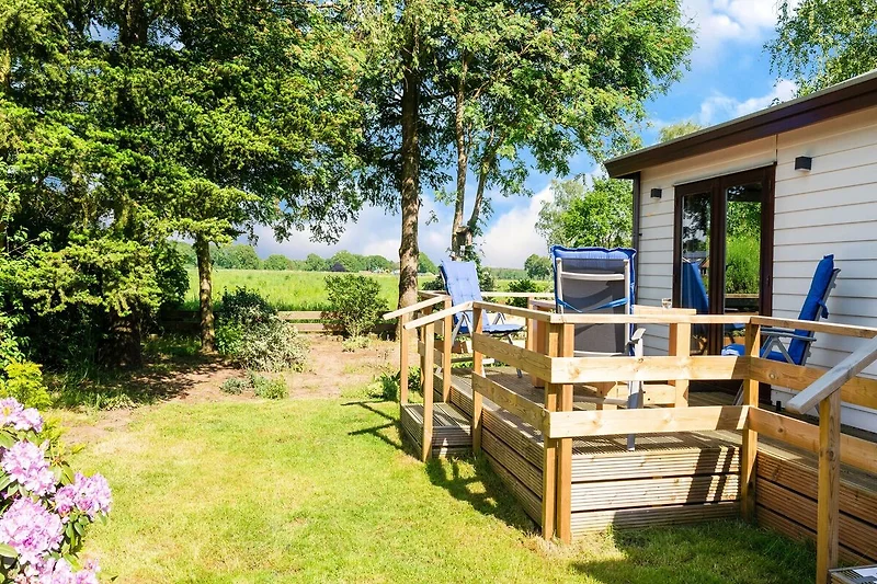 Tuin (zomer)