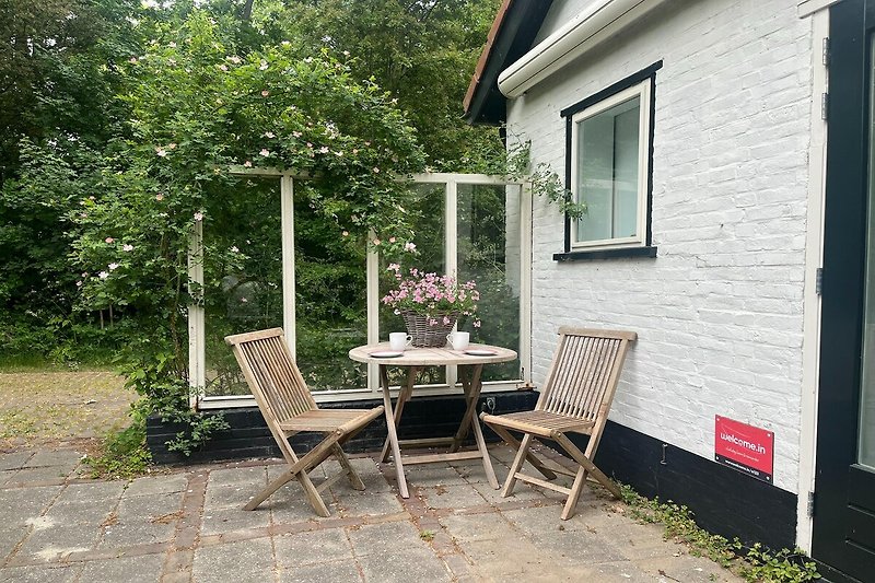Terrasse / Balkon