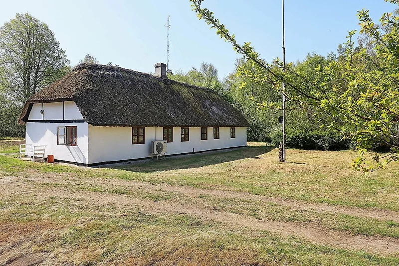 Esterno